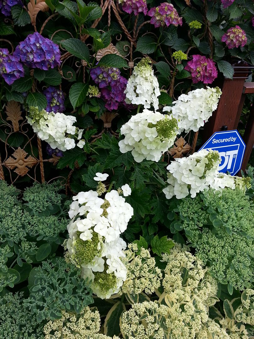  photo 20140702_072732_zpsir463nv4.jpg